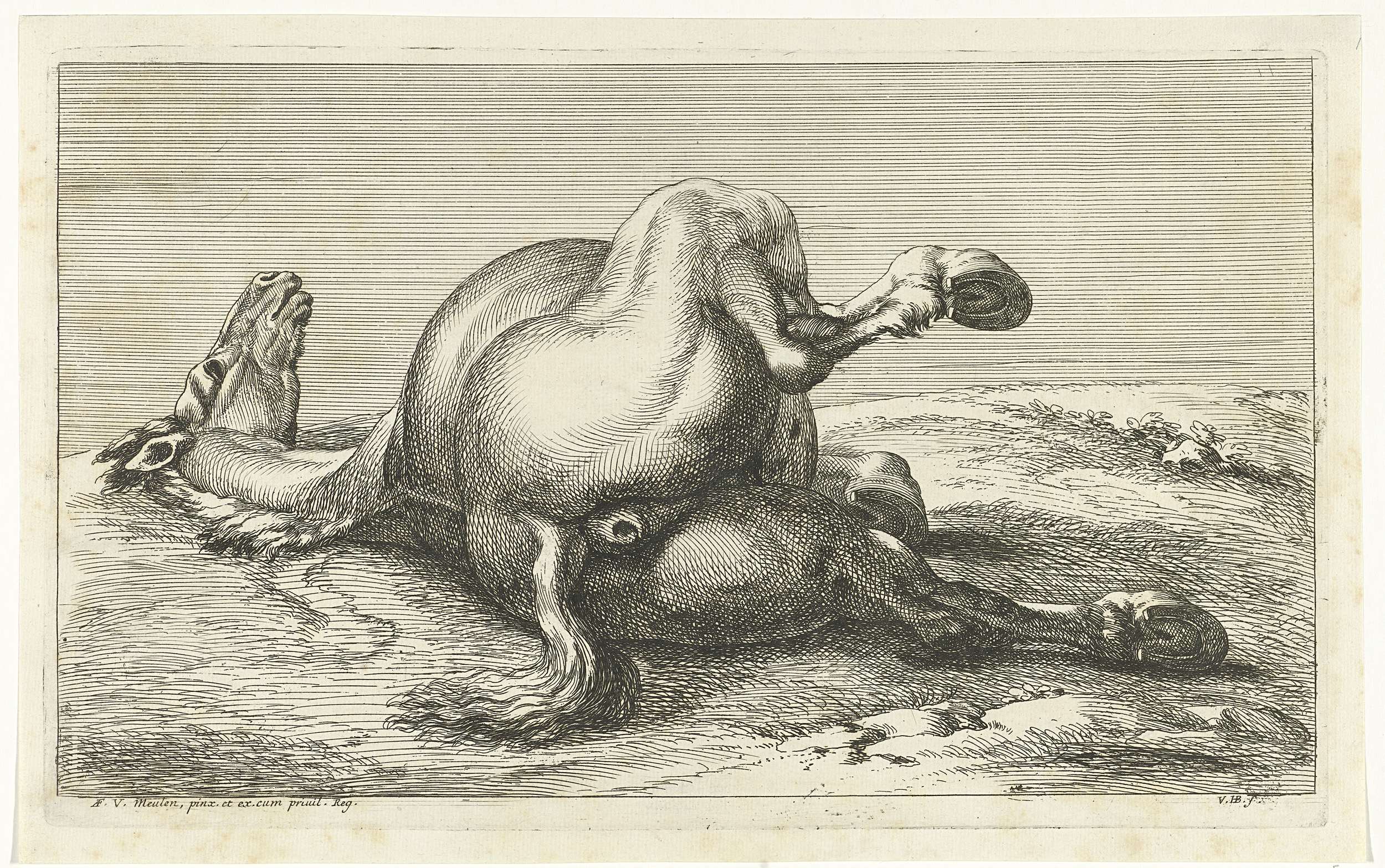 Eine Schwarz-Weiß-Zeichnung eines leidenden Pferdes, das auf dem Rücken liegt, mit gesenktem Kopf, geschlossenen Augen und leicht geöffnetem Mund, Text unten.