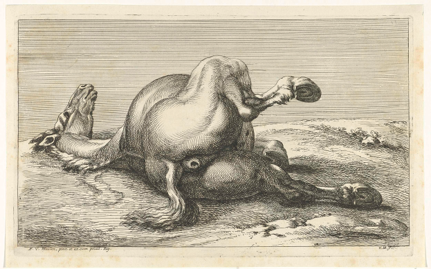 Eine Schwarz-Weiß-Zeichnung eines leidenden Pferdes, das auf dem Rücken liegt, mit gesenktem Kopf, geschlossenen Augen und leicht geöffnetem Mund, Text unten.