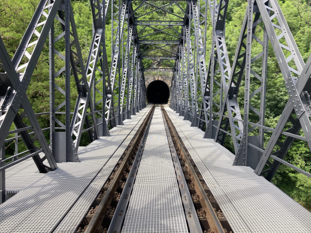 Stahlbrücke mit einem Zug, der durch eine tunnelartige Struktur fährt, umgeben von Bäumen im Hintergrund.