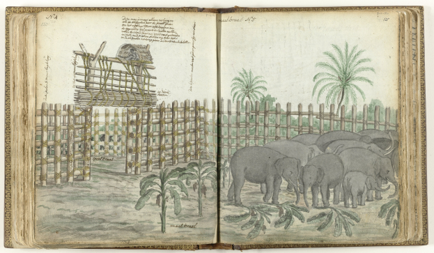 Offene Buchillustration mit einer Gruppe von Elefanten in einem Zoogebiet mit Bäumen, Pflanzen und einem Zaun, begleitet von Text.