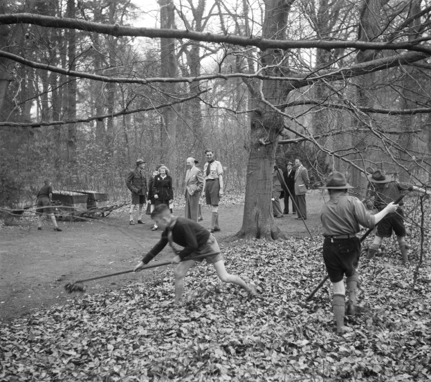 Schwarz-weiß-Foto von Menschen, die mit Stöcken in einem bewaldeten Gebiet mit abgefallenen Blättern spielen.