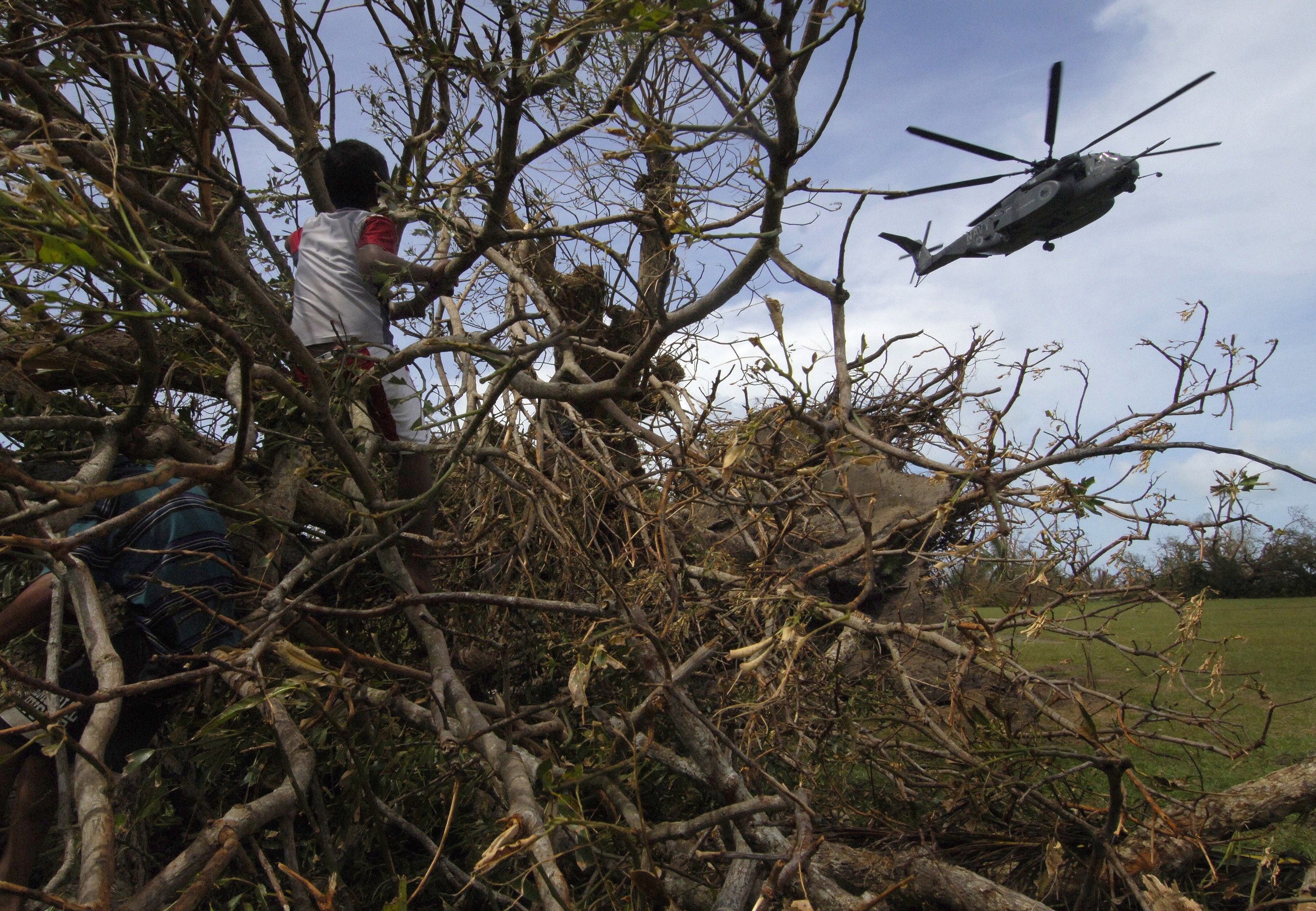 Ein Hubschrauber mit einem umgestürzten Baum darauf, mit zwei Personen daneben, auf einer grasbewachsenen Fläche mit Bäumen im Hintergrund unter einem bewölkten Himmel.