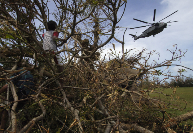 Ein Hubschrauber mit einem umgestürzten Baum darauf, mit zwei Personen daneben, auf einer grasbewachsenen Fläche mit Bäumen im Hintergrund unter einem bewölkten Himmel.