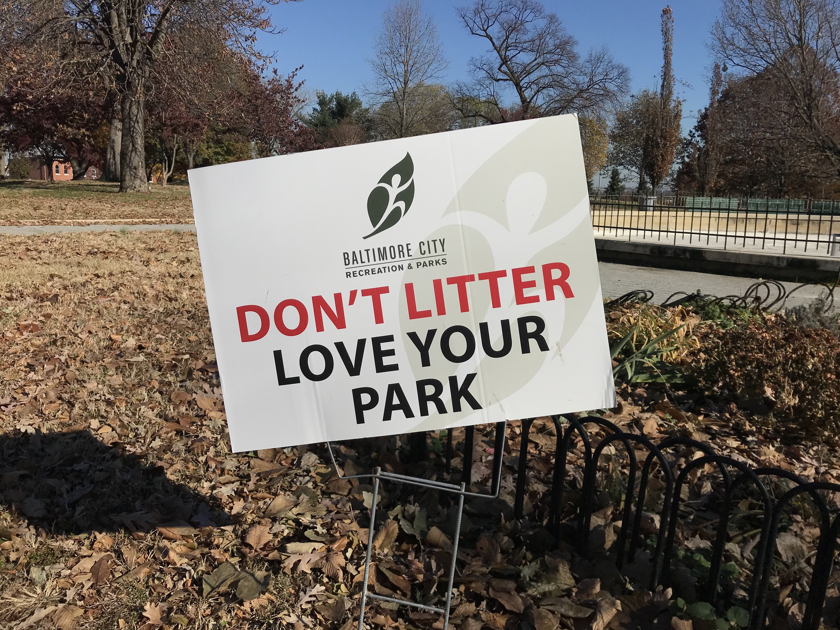 Müll, Grillrückstände und Beschwerden: Wird der Mainzer Volkspark immer dreckiger?
