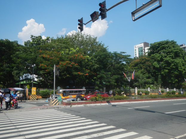 Eine Stadtstraße mit Zebrastreifen und Ampel an einer Kreuzung, mit Fahrzeugen, Fußgängern mit Schirmen auf dem Gehweg und einem Hintergrund aus Bäumen, Gebäuden und einem bewölkten Himmel.