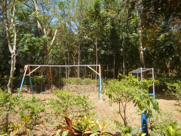 Schaukelanlage im Wald mit grünen Pflanzen und Bäumen unter einem klaren blauen Himmel.