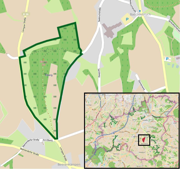 Ein detaillierter Stadtplan mit einem zentralen grünen Bereich, der für die geplante Entwicklung markiert ist, zeigt Straßen, Gebäude und Sehenswürdigkeiten.