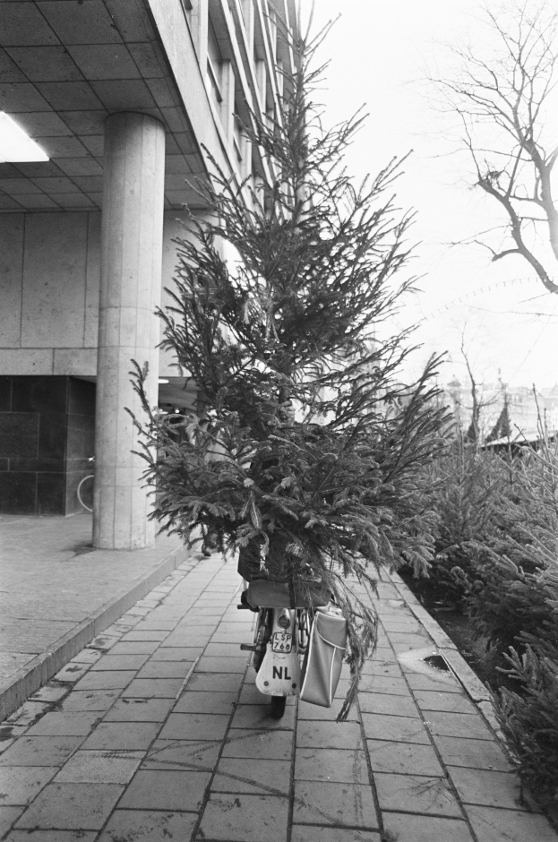 Schwarzes und weißes Foto eines Fahrrads mit einem Weihnachtsbaum auf dem Gepäckträger, das vor einem Gebäude mit Säulen und Deckenleuchten geparkt ist, mit Pflanzen und Bäumen rechts und Gebäuden und Himmel im Hintergrund.