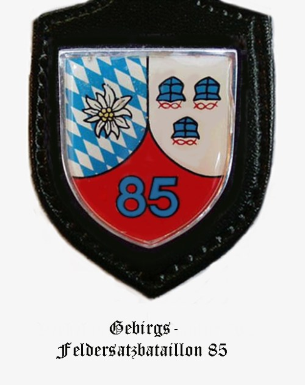 Ein rundes Abzeichen mit der Zahl 85 und deutscher Text unten, das das Logo der bayerischen Fußballmannschaft darstellt.
