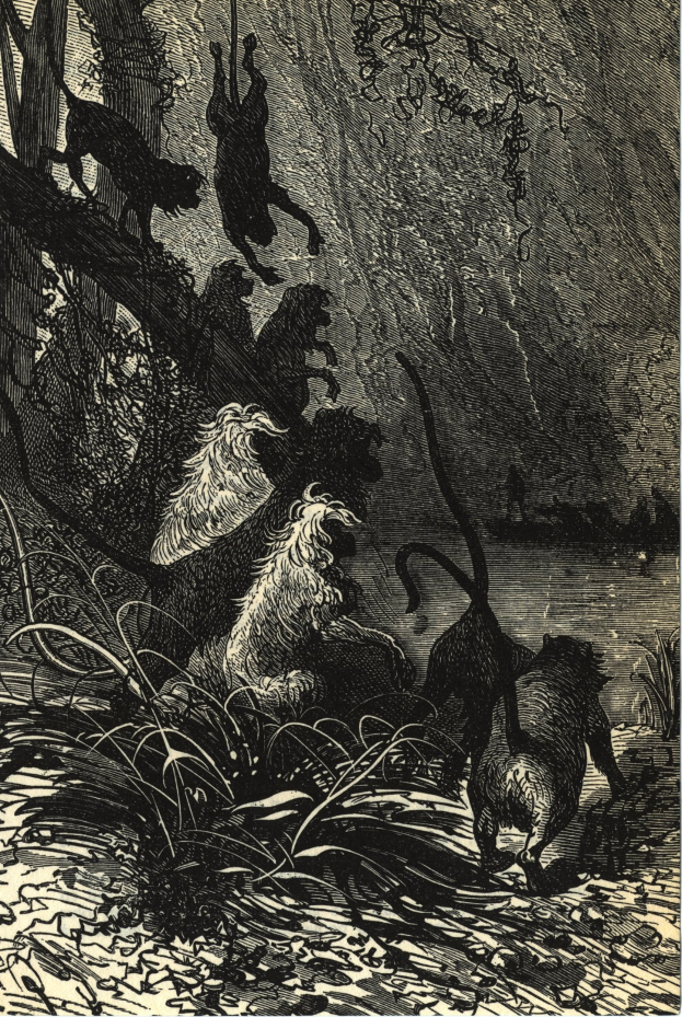 Schwarze und weiße Illustration einer Löwenherde in einer Dschungellandschaft mit üppiger Vegetation und Bäumen, darunter der Text 'Der Löwenkönig'.