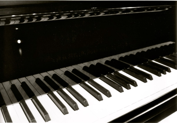 Erster Preis bei Landeswettbewerb - Junger Pianist der Langener Musikschule erfolgreich