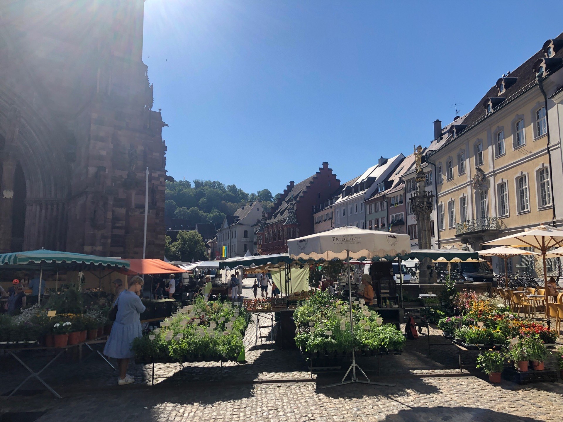 Ein belebter Markt in Heidelbergs Altstadt mit Menschen an Tischen mit Blumentöpfen und Schirmen, vor Häusern, Bäumen und einem klaren blauen Himmel.