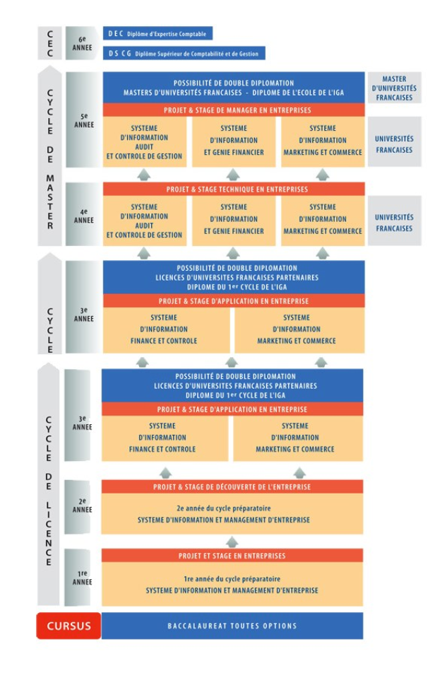 Diagramm, das die organisatorische Struktur eines Unternehmens mit interconnected boxes darstellt, die verschiedene Phasen des Unternehmenswachstums und der Entwicklung darstellen, jeweils mit begleitendem Text.