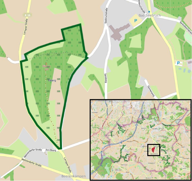 Ein detaillierter Stadtplan mit einem zentralen grünen Bereich, der für die geplante Entwicklung markiert ist, umgeben von Straßen, Gebäuden und Sehenswürdigkeiten.