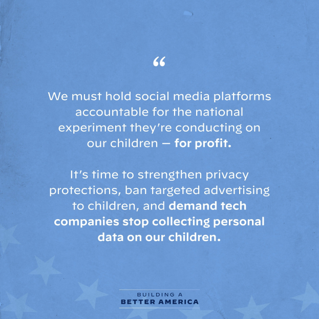 Plakat mit einem Zitat aus Building a Better America, das besagt, "Wir müssen soziale Medien-Plattformen für das nationale Experiment zur Rechenschaft ziehen, das sie an unseren Kindern durchführen - zum Profit." Dekoriert mit Sternen.