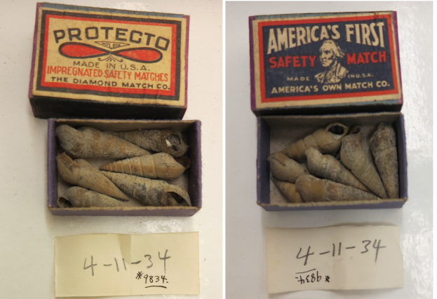 Zwei Streichholzschachteln mit der Aufschrift 'Protecto' und 'Amerikas erste Sicherheitszündholz' auf einem Tisch mit nummerierten Papieren darunter.