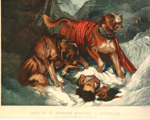 Zwei Bernhardiner-Hunde stehen über einer Person im Schnee, mit Bergen im Hintergrund und Text unten.