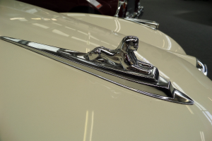 Autologos auf der Front diverser Autos.