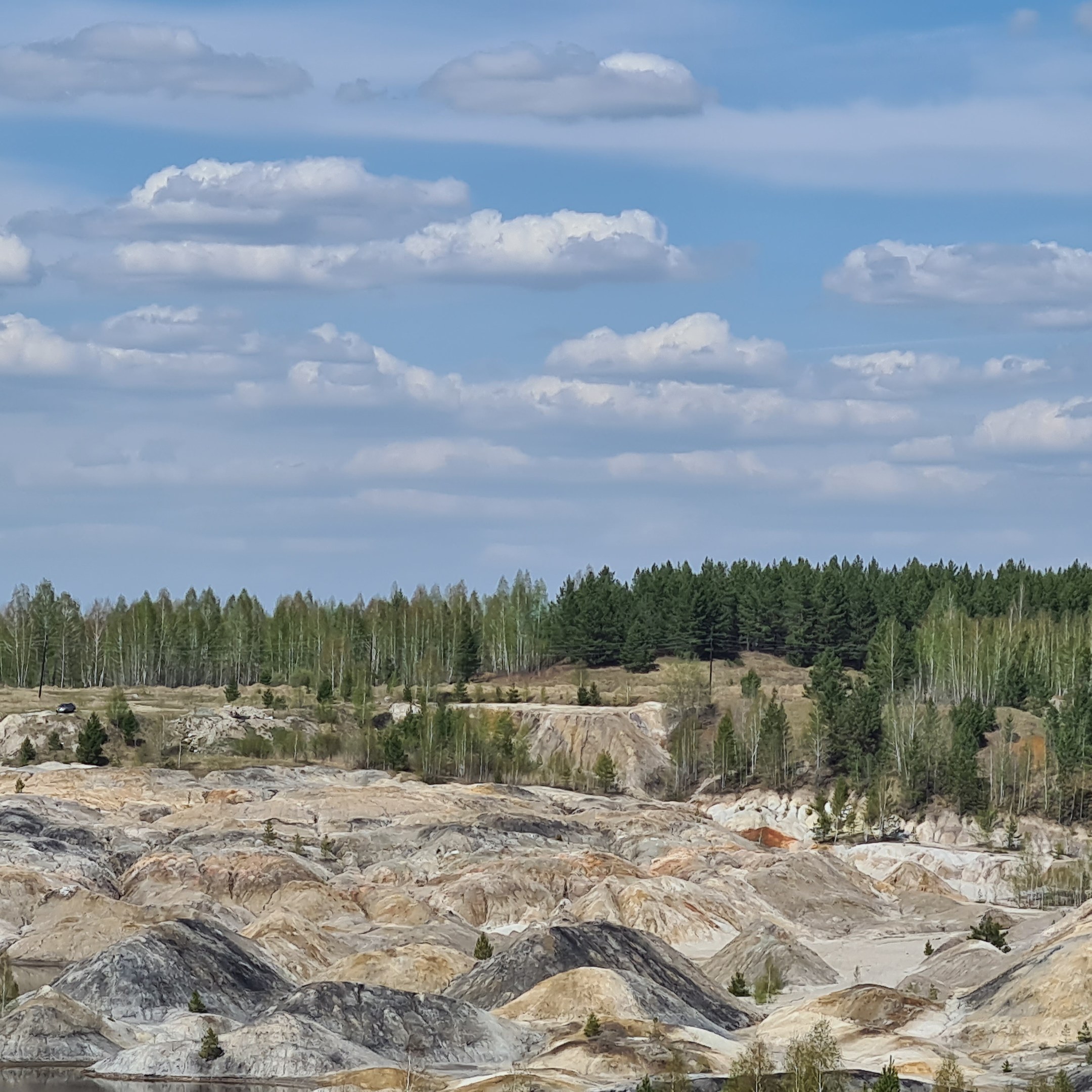 Großer Wasserkörper umgeben von Bäumen und Felsen unter einem bewölkten Himmel im Yellowstone-Nationalpark.