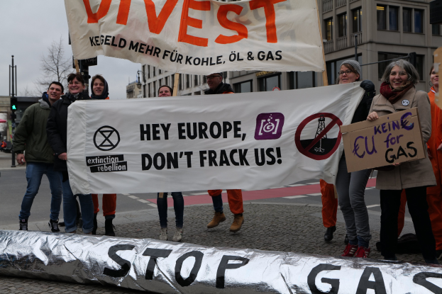 Gruppe von Menschen auf einer Straße mit einem "Stoppt Gas" Plakat protestieren gegen die Europäische Union, mit Gebäuden, Bäumen, Polen, Verkehrszeichen und einem klaren blauen Himmel im Hintergrund.