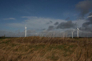 Ein Windkraftanlagenfeld auf einer grünen Wiese mit Bäumen im Hintergrund und Wolken am Himmel, mit Textangabe des Standorts Niederlande.