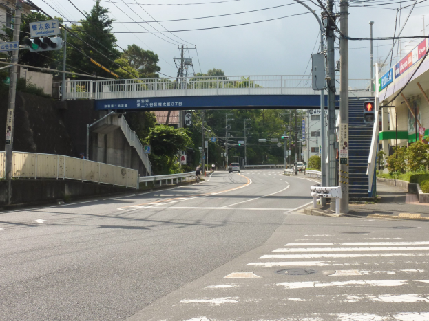 Stadtstraße mit einer Fußgängerbrücke darüber, Fahrzeuge auf der Straße, Strommasten mit Drähten, Verkehrszeichen, Schilder, Gebäude mit Fenstern, Bäume, Pflanzen und ein Himmel im Hintergrund.